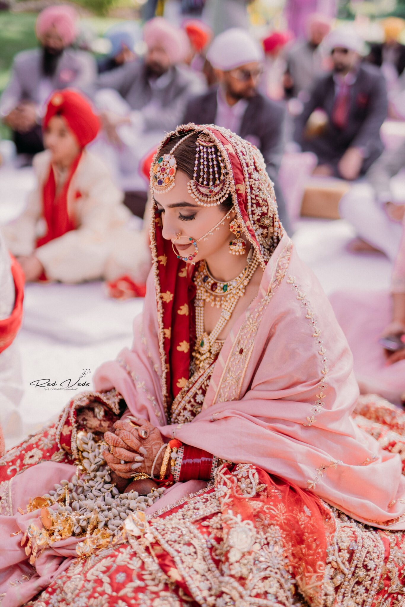 Maharani wearing an ivory and burgundy bridal saree posing. | Photo 257961